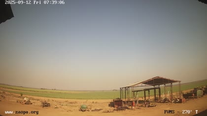 2025-09-12