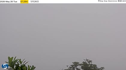 2026-05-26