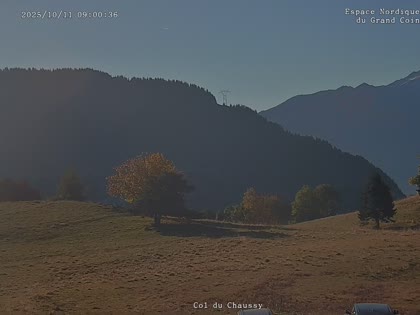2025-10-11