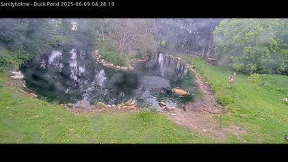 2025-06-09