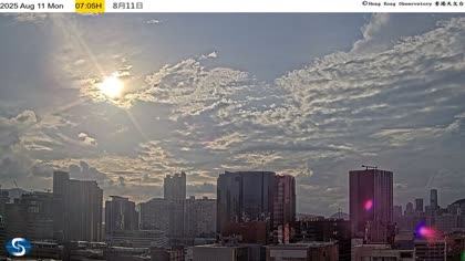 2025-08-11