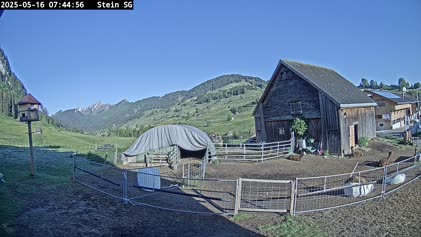 2025-05-16