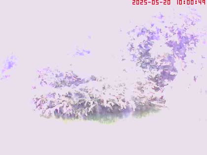2025-05-20