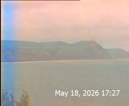2026-05-19