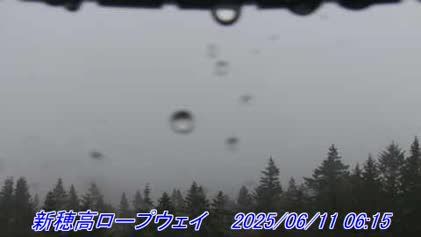 2025-06-10
