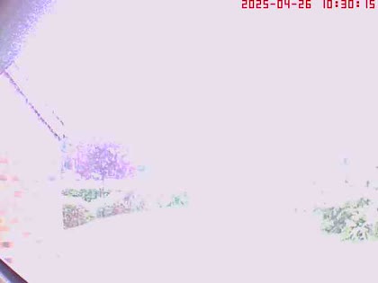 2025-04-26