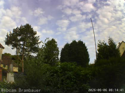 2026-06-06