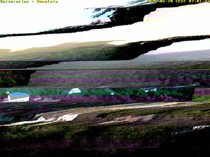 2025-06-11