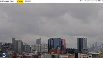 2025-08-06