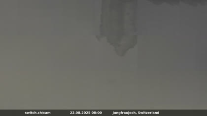 2025-08-22