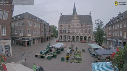 2025-07-31