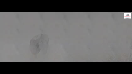 2026-05-12