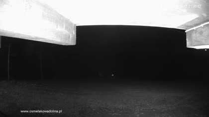 2025-10-14