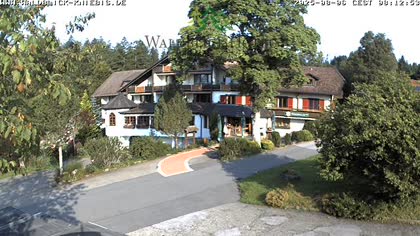 2025-08-06