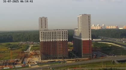 2025-07-31