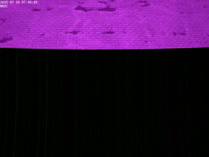 2025-07-10