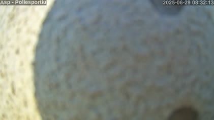 2025-06-29