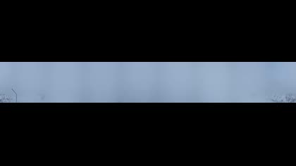 2026-05-17