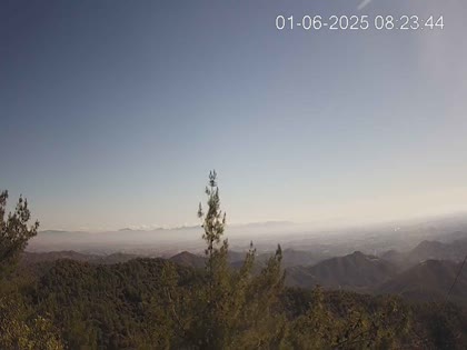 2025-06-01