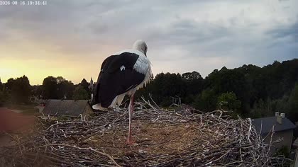 2026-08-16