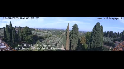 2025-08-13