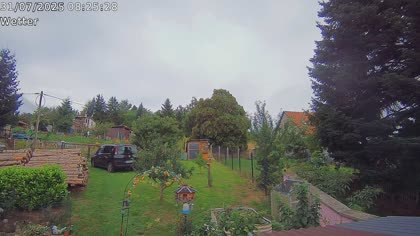 2025-07-31