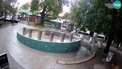 2025-10-05