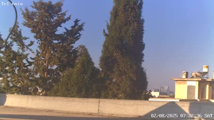 2025-08-02
