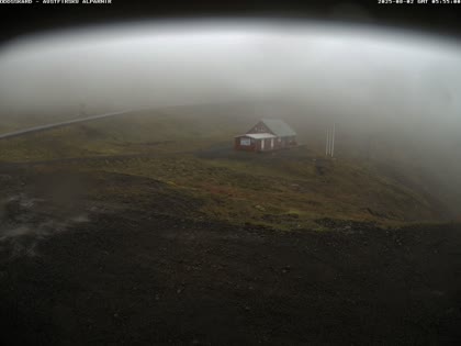 2025-08-02