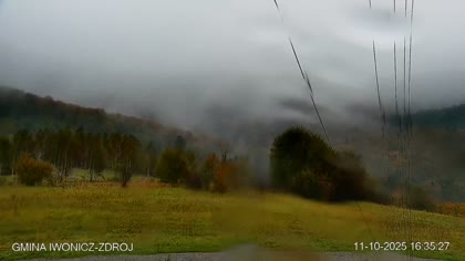 2025-10-11