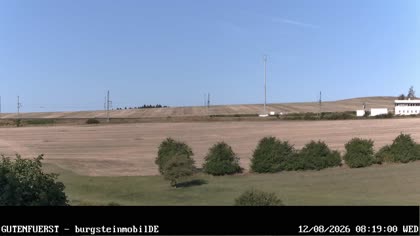 2026-08-12
