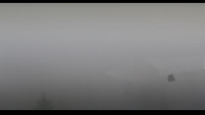 2025-07-22