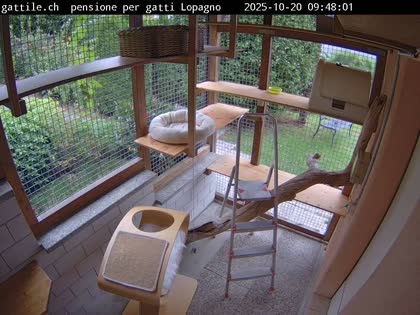 2025-10-20