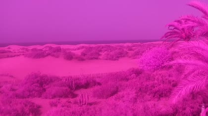 2026-07-06