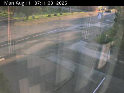 2025-08-11