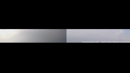 2025-08-01