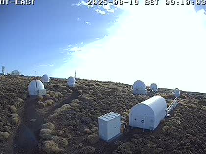 2025-08-19