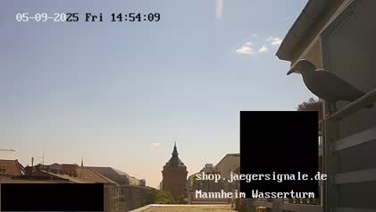 2025-05-10