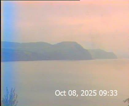 2025-10-08