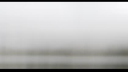 2025-08-29