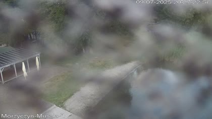 2025-07-09