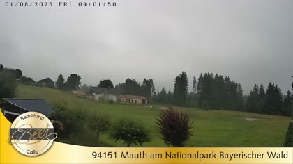 2025-08-01
