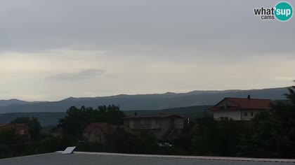 2026-07-12
