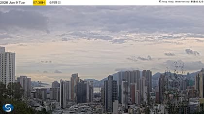 2026-06-09