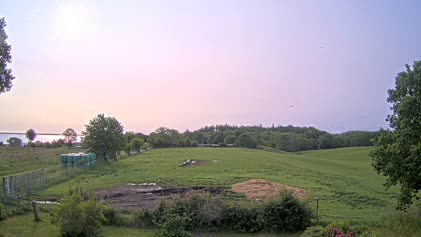 2025-06-09
