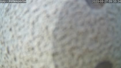 2025-08-27
