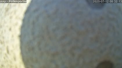2025-07-12
