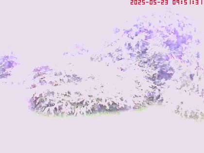 2025-05-23