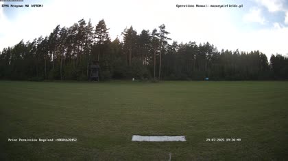 2025-07-29
