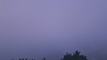 2025-09-07